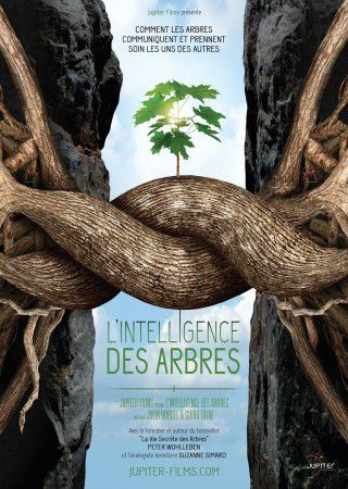 L'intelligence des arbres, le film et le livre qui sèment la